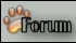 Beagle et compagnie Forum Index