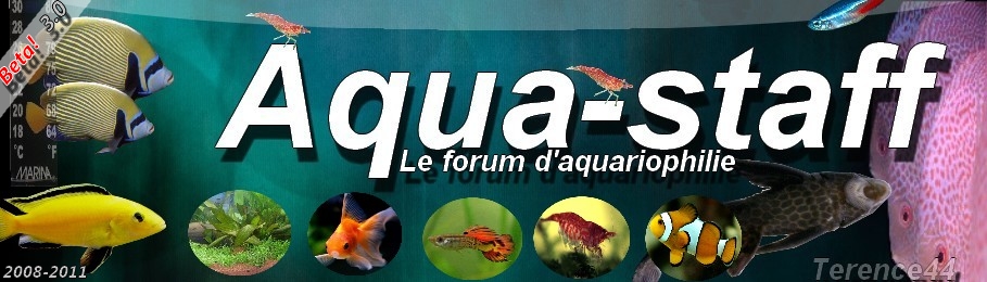 Aqua-Staff Forum Index