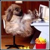 http://img9.xooimage.com/files/b/b/5/www_humour-lapin_com-0021-1a370a.jpg