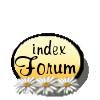 Cockatiel en Folie Forum Index