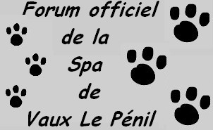Forum officiel du refuge spa de vaux le penil Forum Index