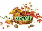 New posts
