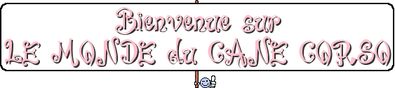 **bienv**