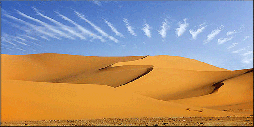 exodusprime Index du Forum