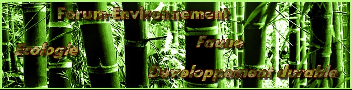 Forum-environnement Forum Index