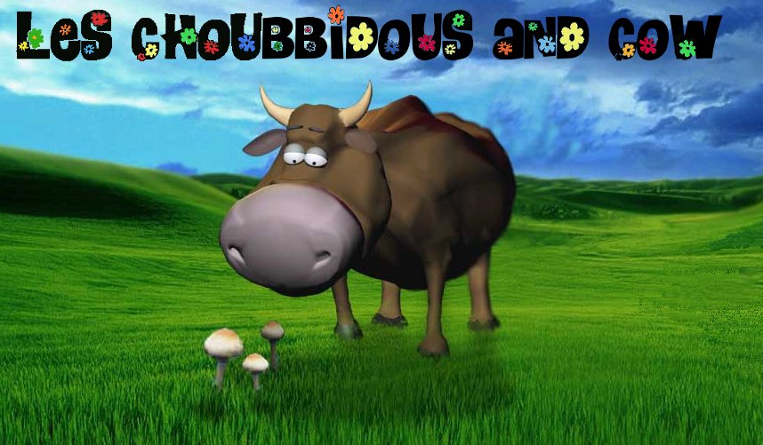 Choubbidous and cow Forum Index