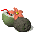 lait de coco