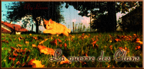 La Guerre Des Clans!Seul Le Courage Pourra Les Sauver! Forum Index