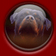 New posts