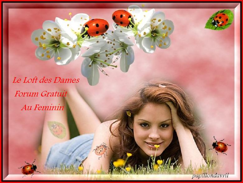 Le loft des Dames Forum Index