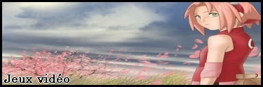 http://img9.xooimage.com/files/d/5/8/jeux-video-1771949.jpg