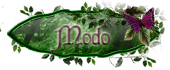 modérateur modérateur