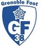 http://img9.xooimage.com/files/d/d/0/grenoble-leader-4ca1a6.jpg