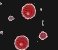 Nouveaux messages