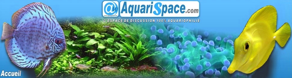 AquariSpace.com