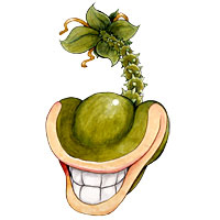 Vursock