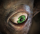 New posts