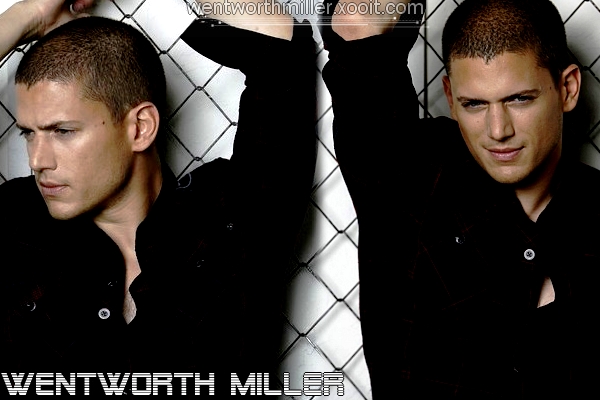 Wentworth Miller - EveryoneWeb Forum Index