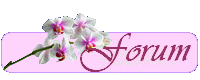 SOEURS LYONNAISES Forum Index