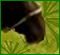 No new posts