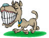El Cambio de los Dientes en los Perros
