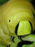 No new posts
