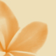 No new posts No new posts