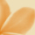 No new posts [ Popular ]